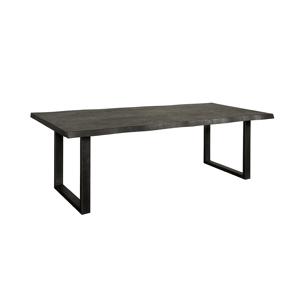 Esstisch Emely 200 cm - Akazie