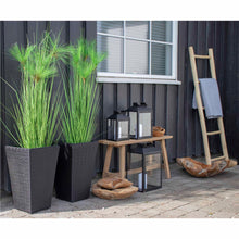 Deko-Leiter – Teak Natur, 50 × 150 cm – Ansicht 6