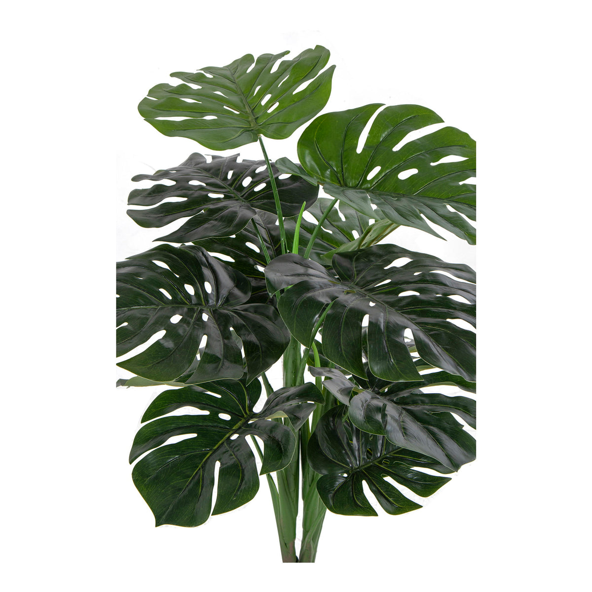 Kunstpflanze Monstera – Grün, H 90 cm – Ansicht 2
