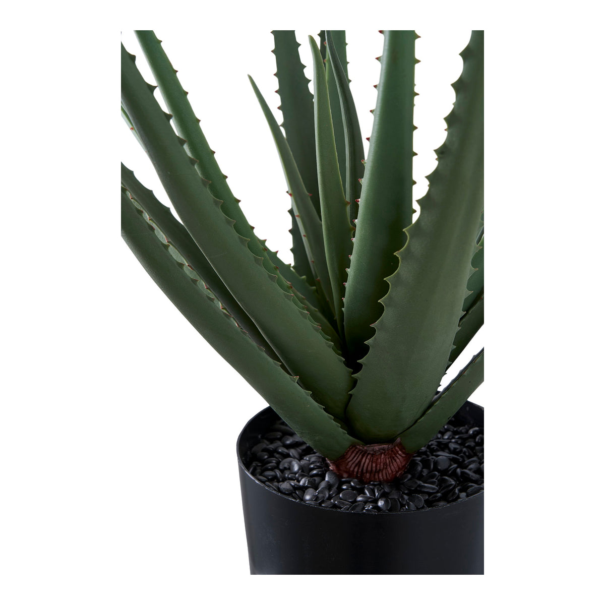 Kunstpflanze Aloe Vera – Grün, H 51 cm – Ansicht 2