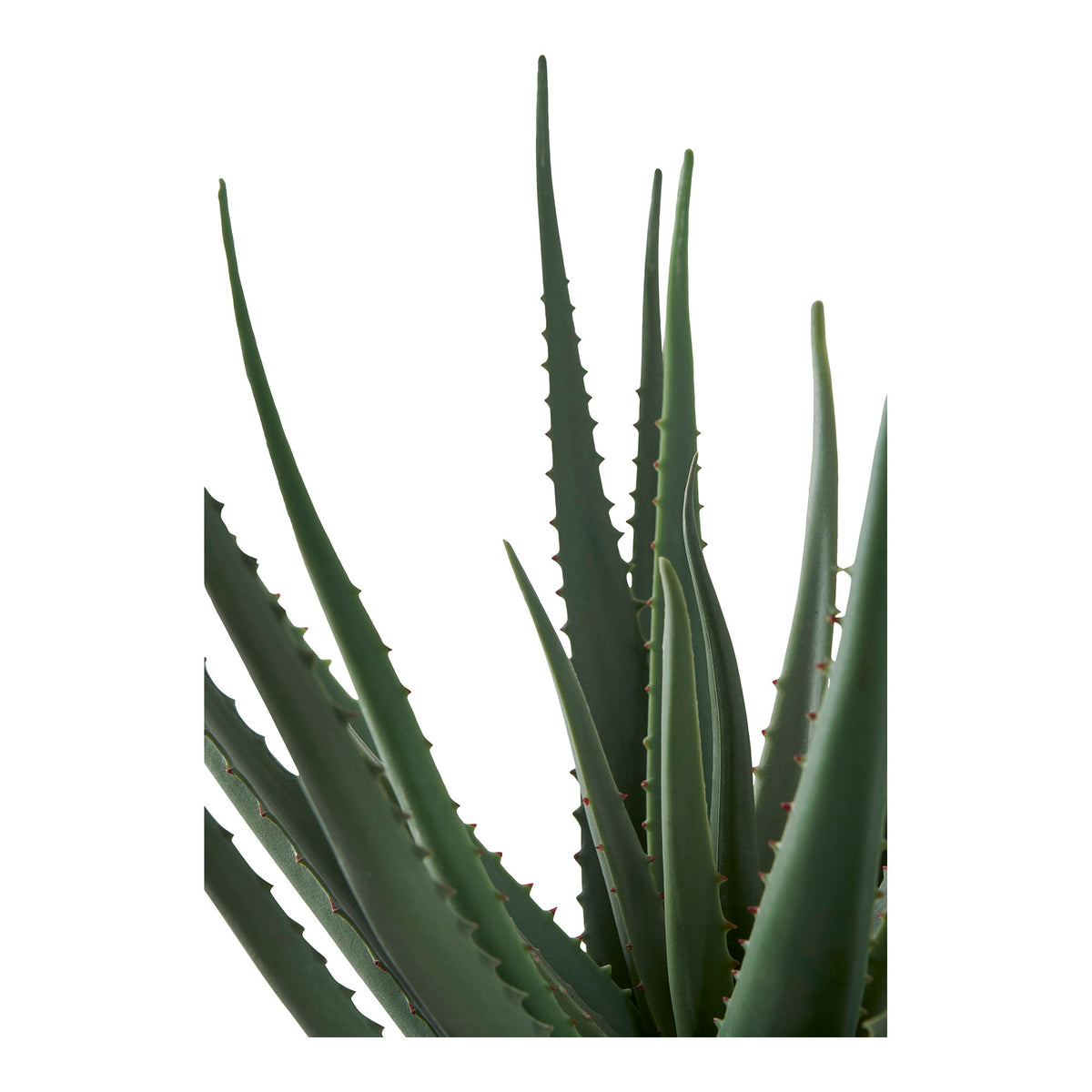 Kunstpflanze Aloe Vera – Grün, H 51 cm – Ansicht 3