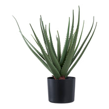 Kunstpflanze Aloe Vera – Grün, H 51 cm von Luiva Living