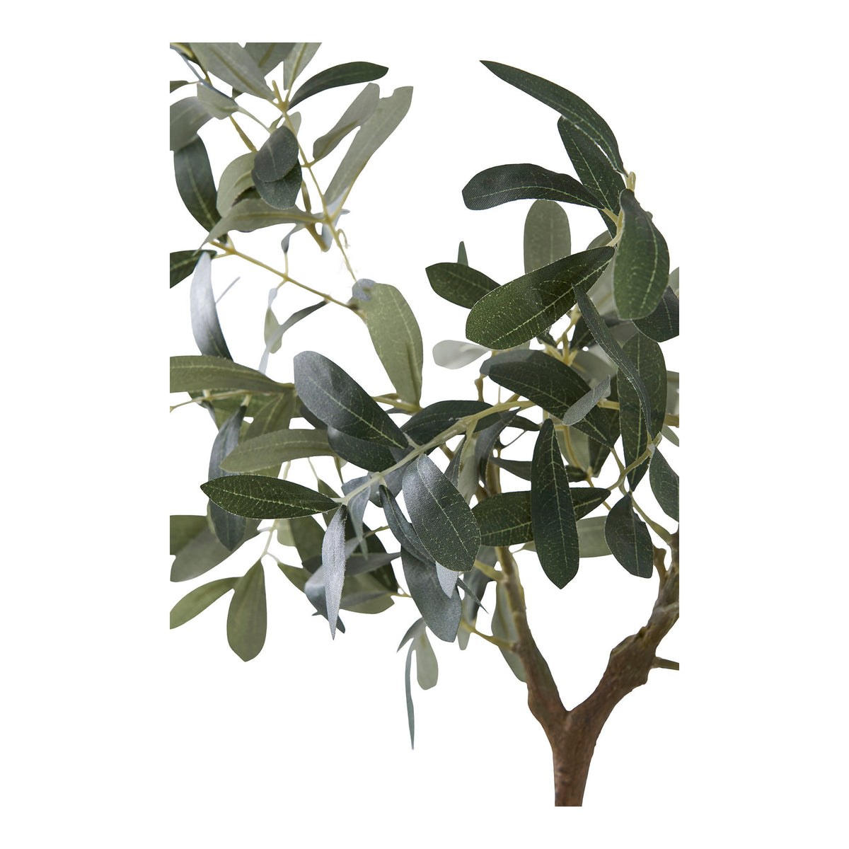 Kunstpflanze Olivenbaum – Grün, H 61 cm – Ansicht 2