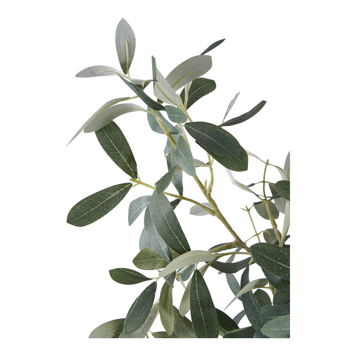Kunstpflanze Olivenbaum – Grün, H 61 cm – Ansicht 3