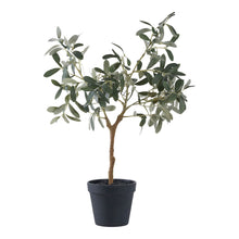 Kunstpflanze Olivenbaum – Grün, H 61 cm von Luiva Living