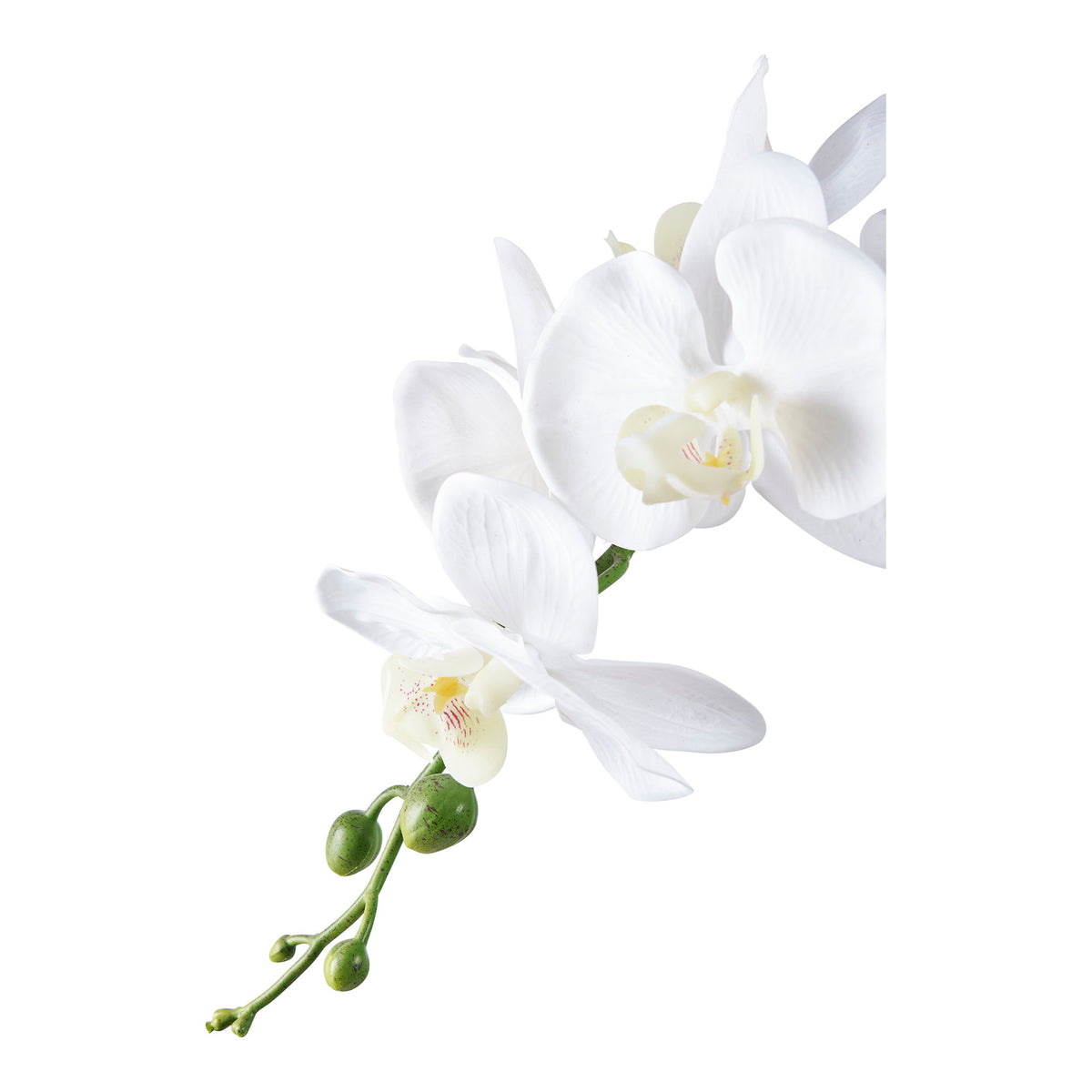 Kunstpflanze Orchidee – Grün/Weiß, H 49 cm – Ansicht 2