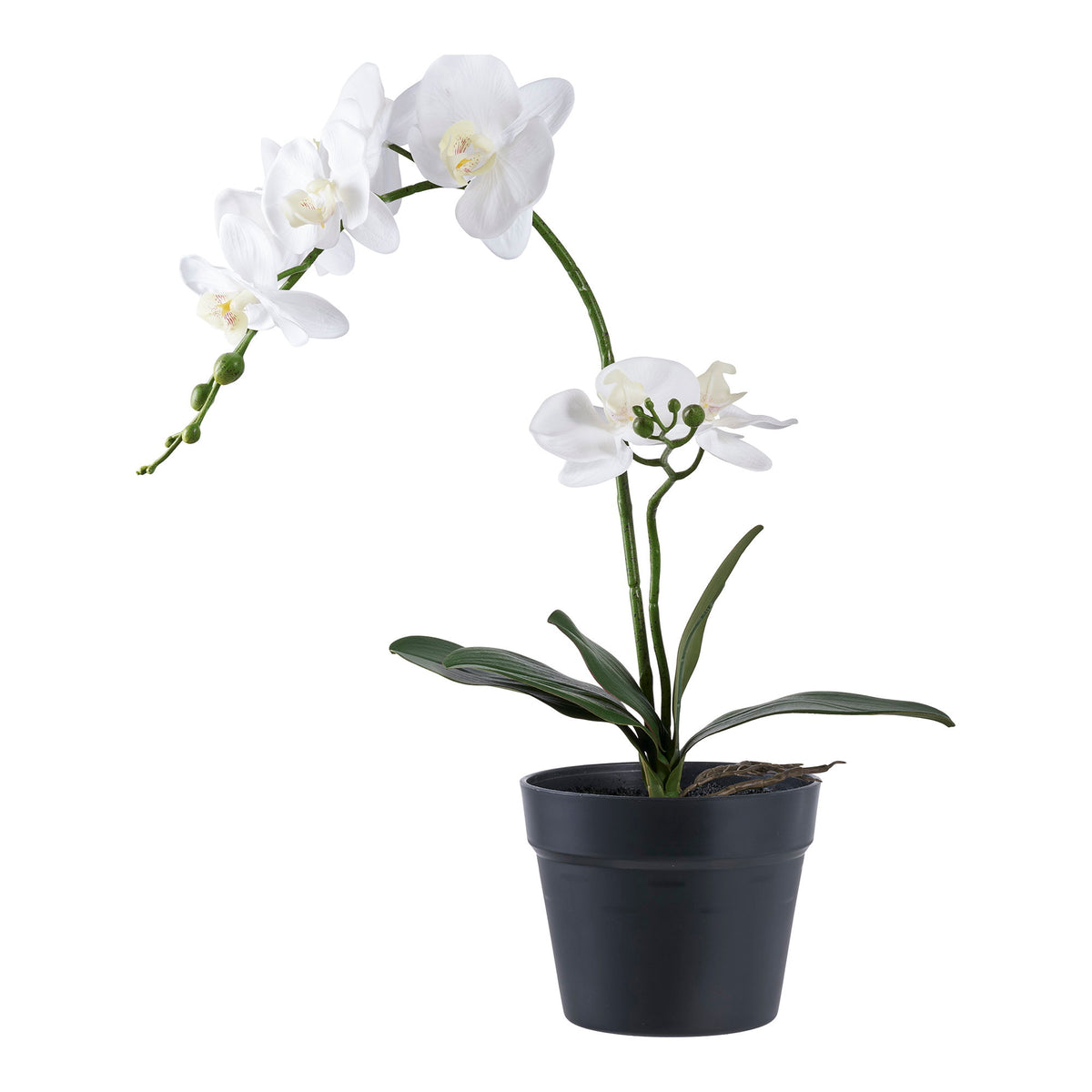 Kunstpflanze Orchidee – Grün/Weiß, H 49 cm von Luiva Living