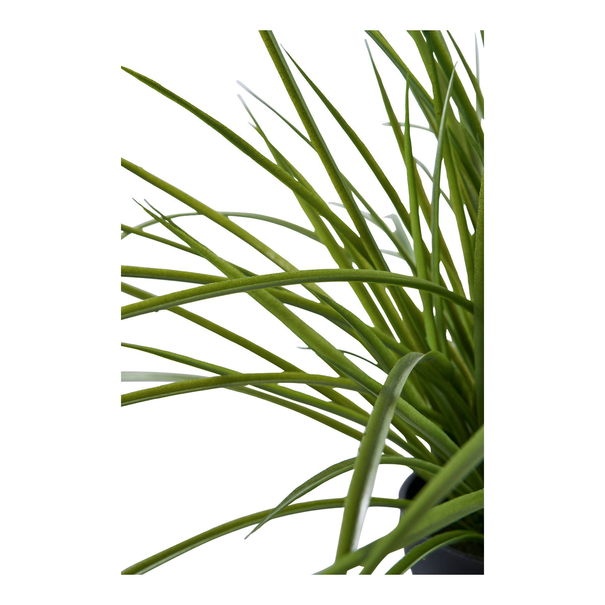 Kunstpflanze Gras – Grün, H 45 cm – Ansicht 2