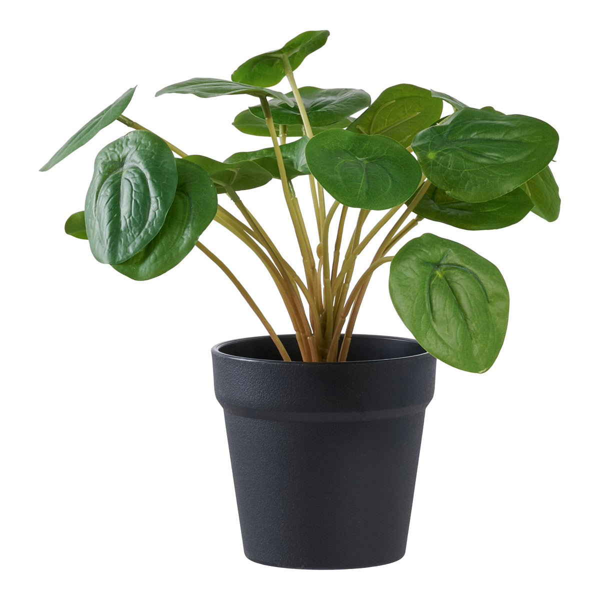 Kunstpflanze Pelia – Grün, H 28 cm von Luiva Living