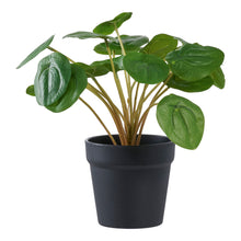 Kunstpflanze Pelia – Grün, H 28 cm von Luiva Living