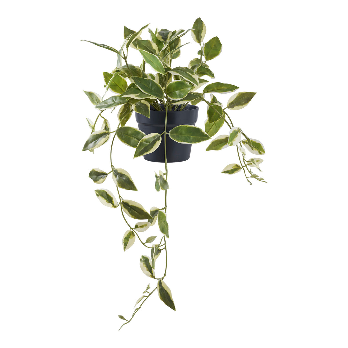 Kunstpflanze Hoya Carnosa – Grün, H 33 cm von Luiva Living