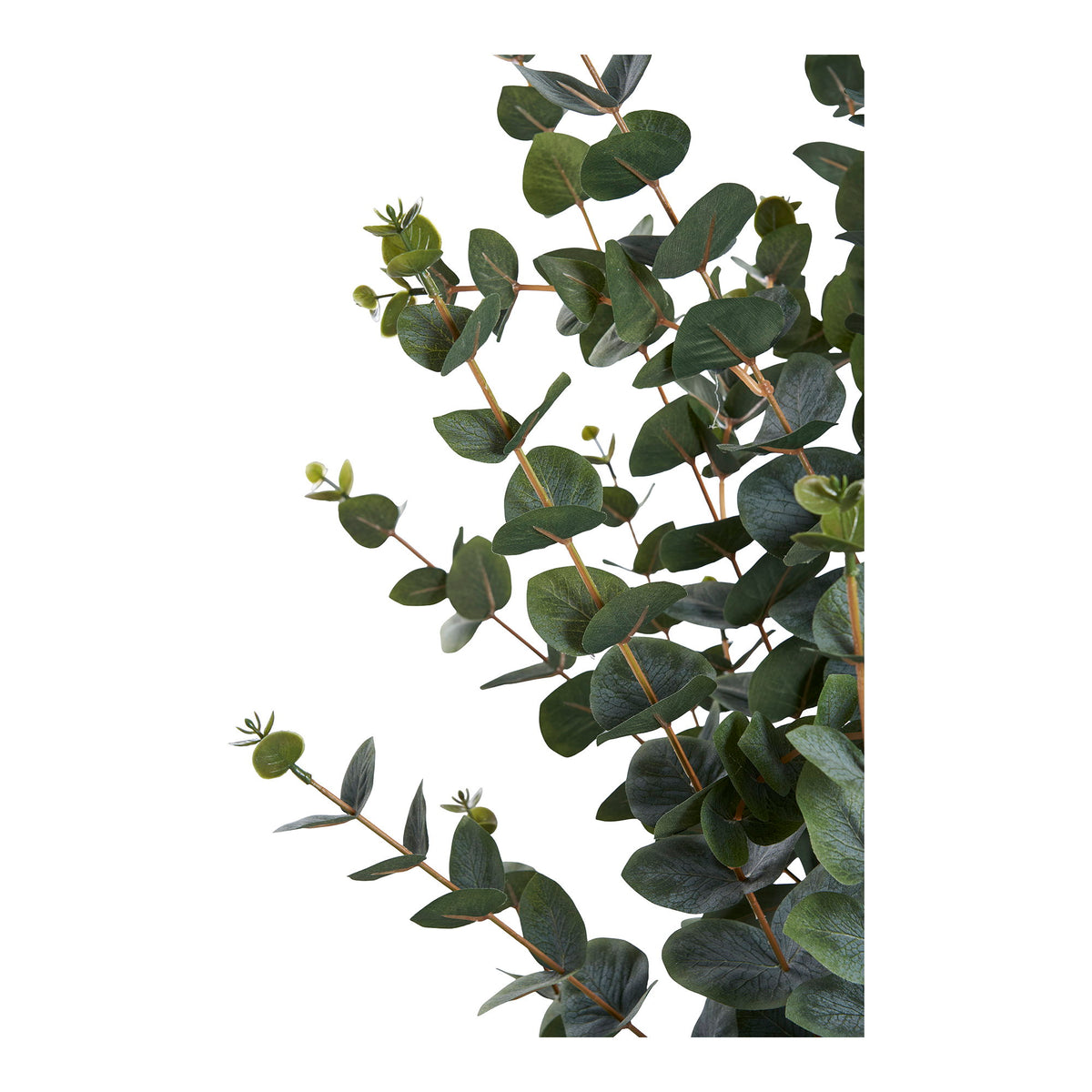 Kunstpflanze Eukalyptusbaum – Grün, H 120 cm – Ansicht 3