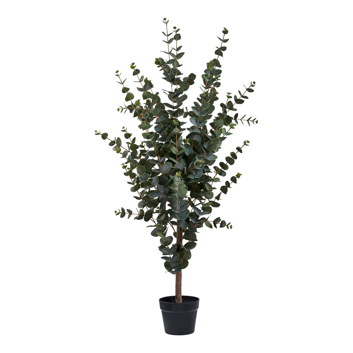 Kunstpflanze Eukalyptusbaum – Grün, H 120 cm von Luiva Living