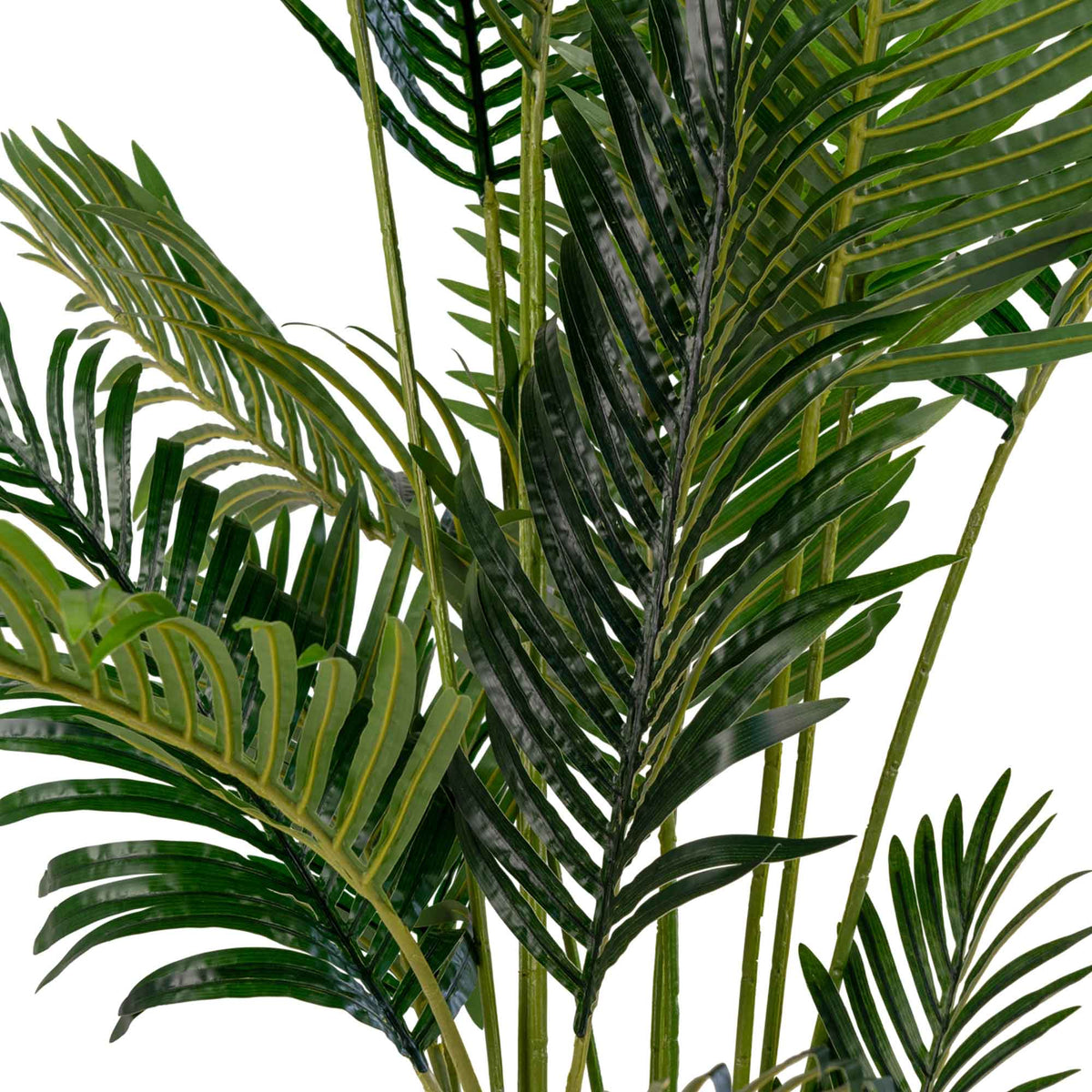 Kunstpflanze Areca-Palme – Grün, H 175 cm – Ansicht 2