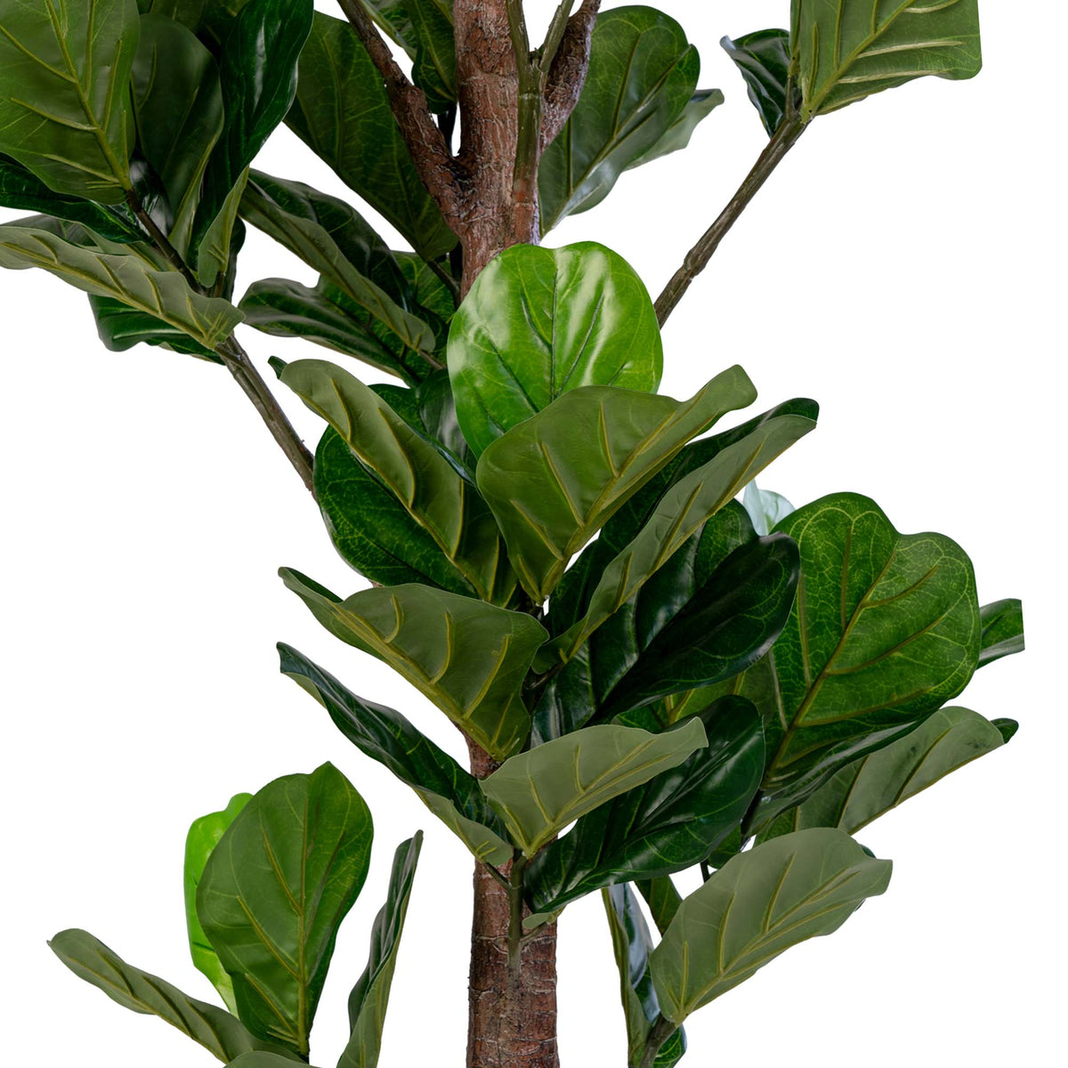 Kunstpflanze Geigenfeige – Grün, H 190 cm – Ansicht 2