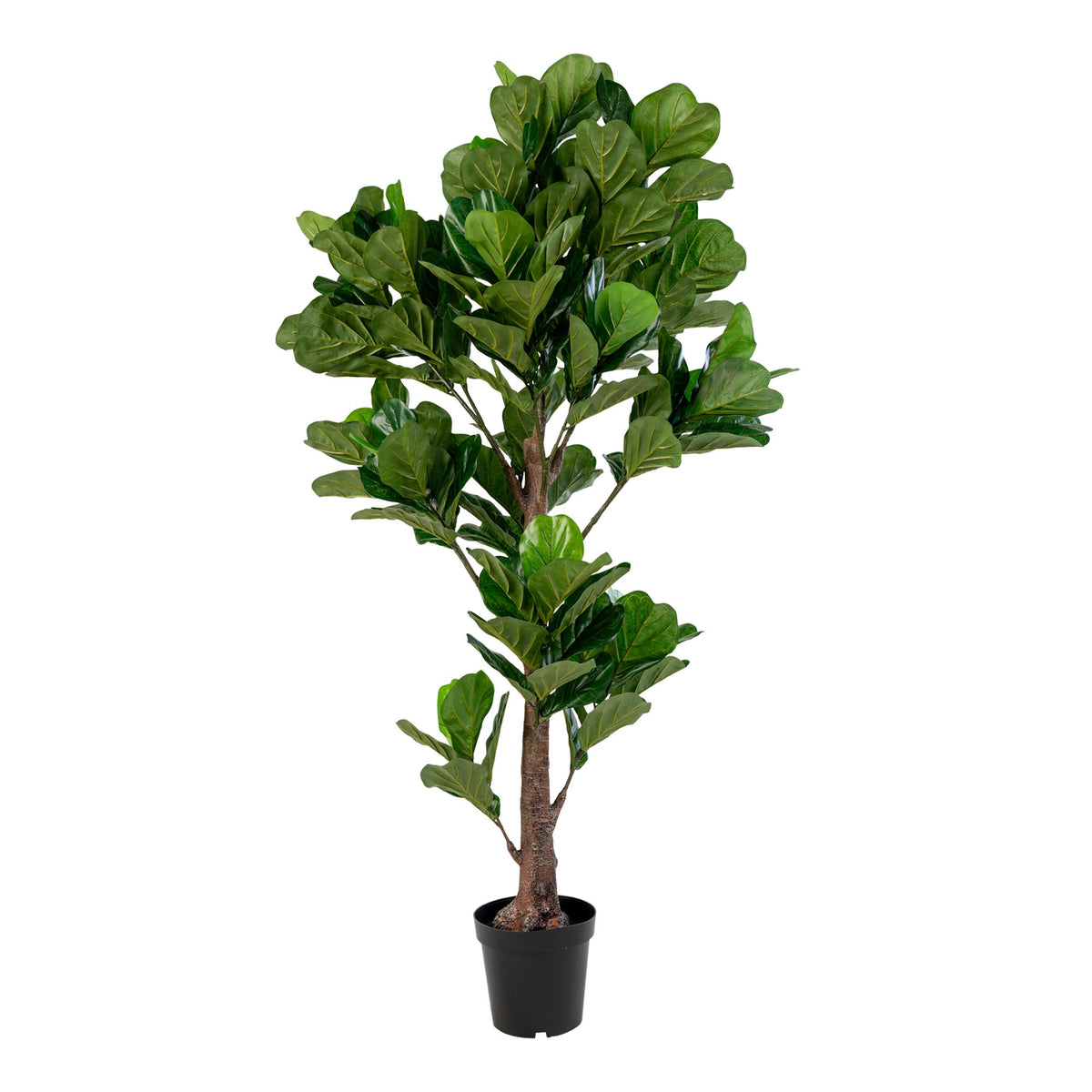 Kunstpflanze Geigenfeige – Grün, H 190 cm von Luiva Living