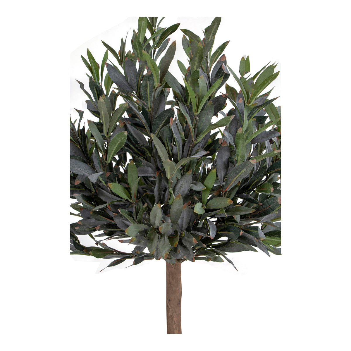 Kunstpflanze Olivenbaum – Grün, H 120 cm – Ansicht 2