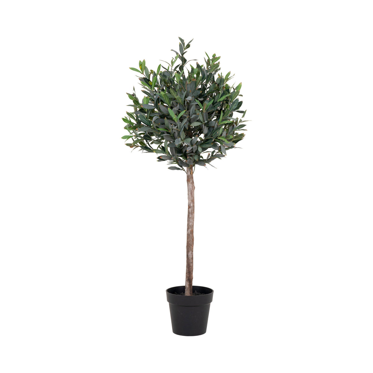 Kunstpflanze Olivenbaum – Grün, H 120 cm von Luiva Living