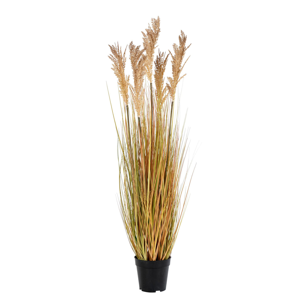 Kunstpflanze Sorghum-Gras – Natur, H 110 cm von Luiva Living
