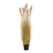 Kunstpflanze Sorghum-Gras – Natur, H 110 cm von Luiva Living