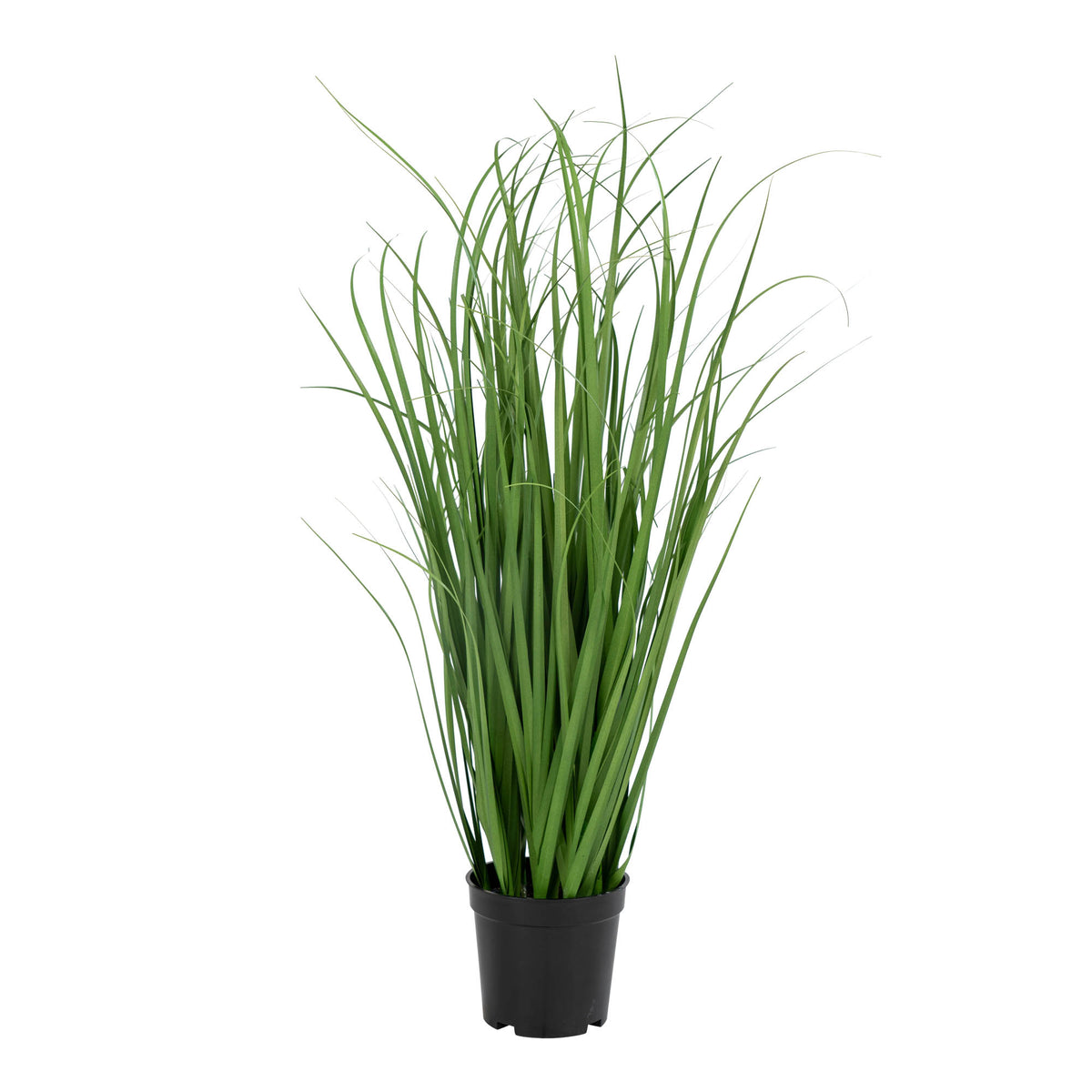 Kunstpflanze Poa-Gras – Grün, H 68 cm von Luiva Living