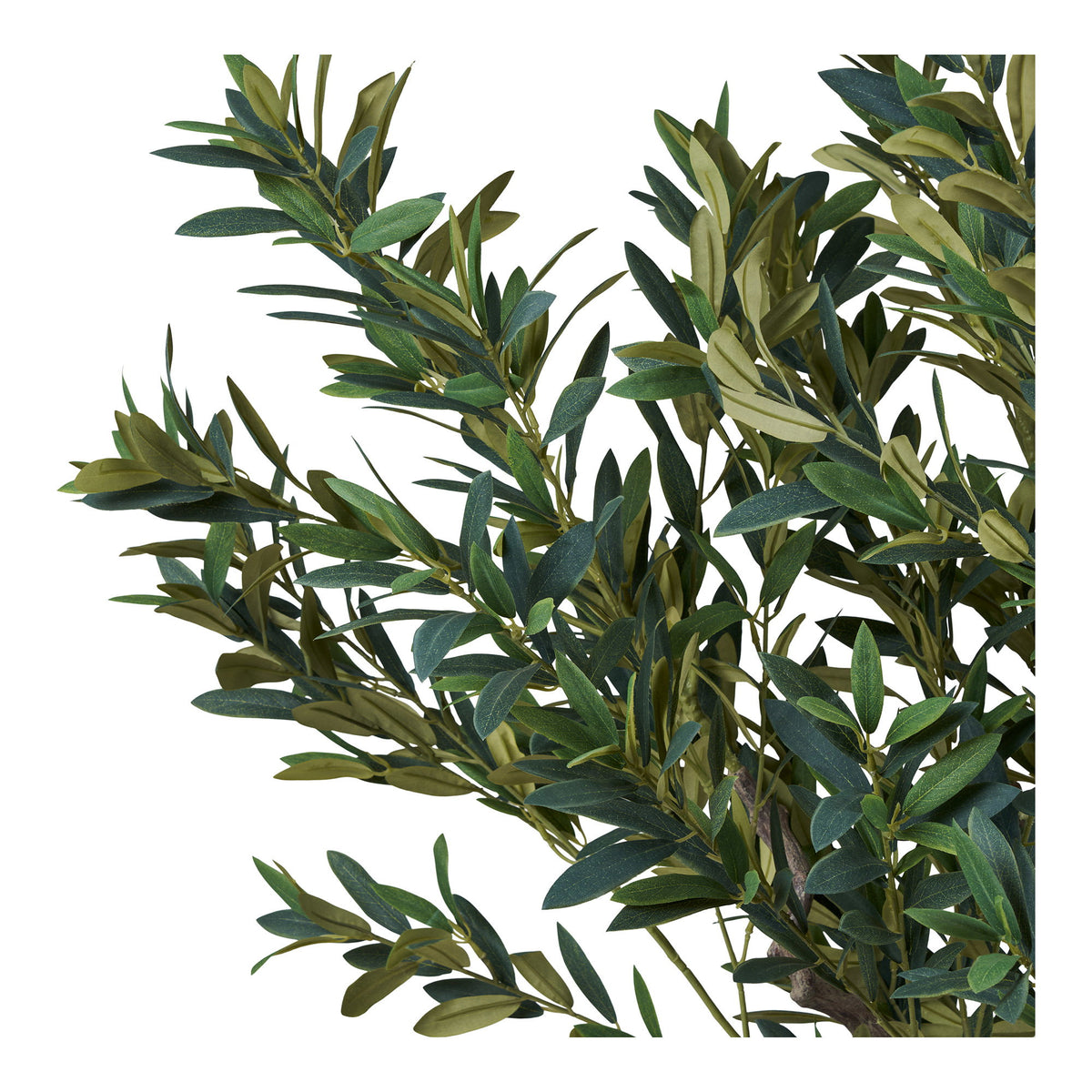 Kunstpflanze Olivenbaum – Grün, H 220 cm – Ansicht 2
