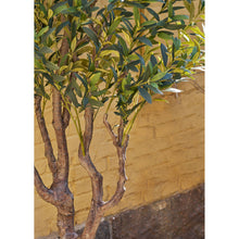 Kunstpflanze Olivenbaum – Grün, H 220 cm – Ansicht 4