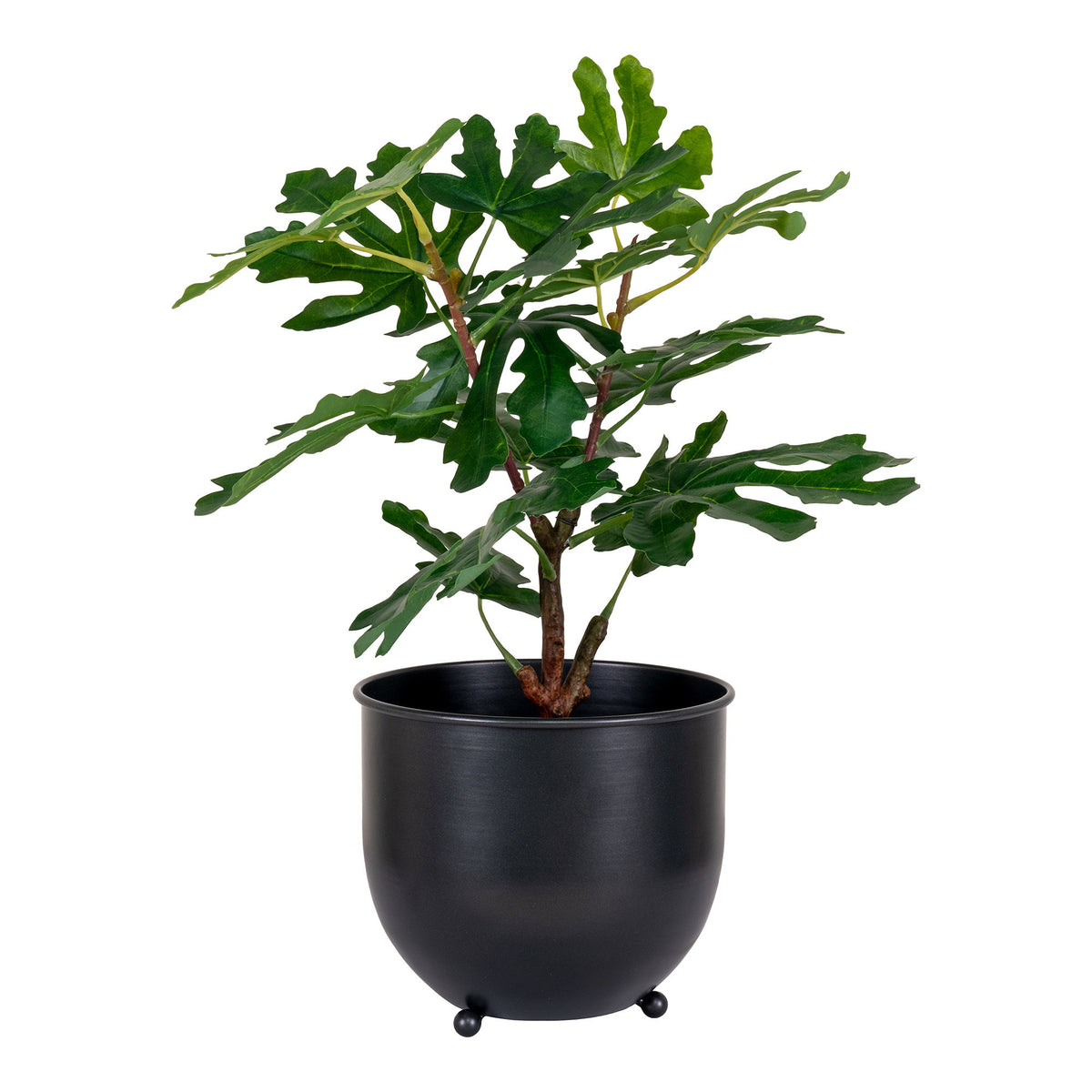 Kunstpflanze Feigenbaum – Grün, H 60 cm – Ansicht 2