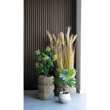 Kunstpflanze Feigenbaum – Grün, H 60 cm – Ansicht 4