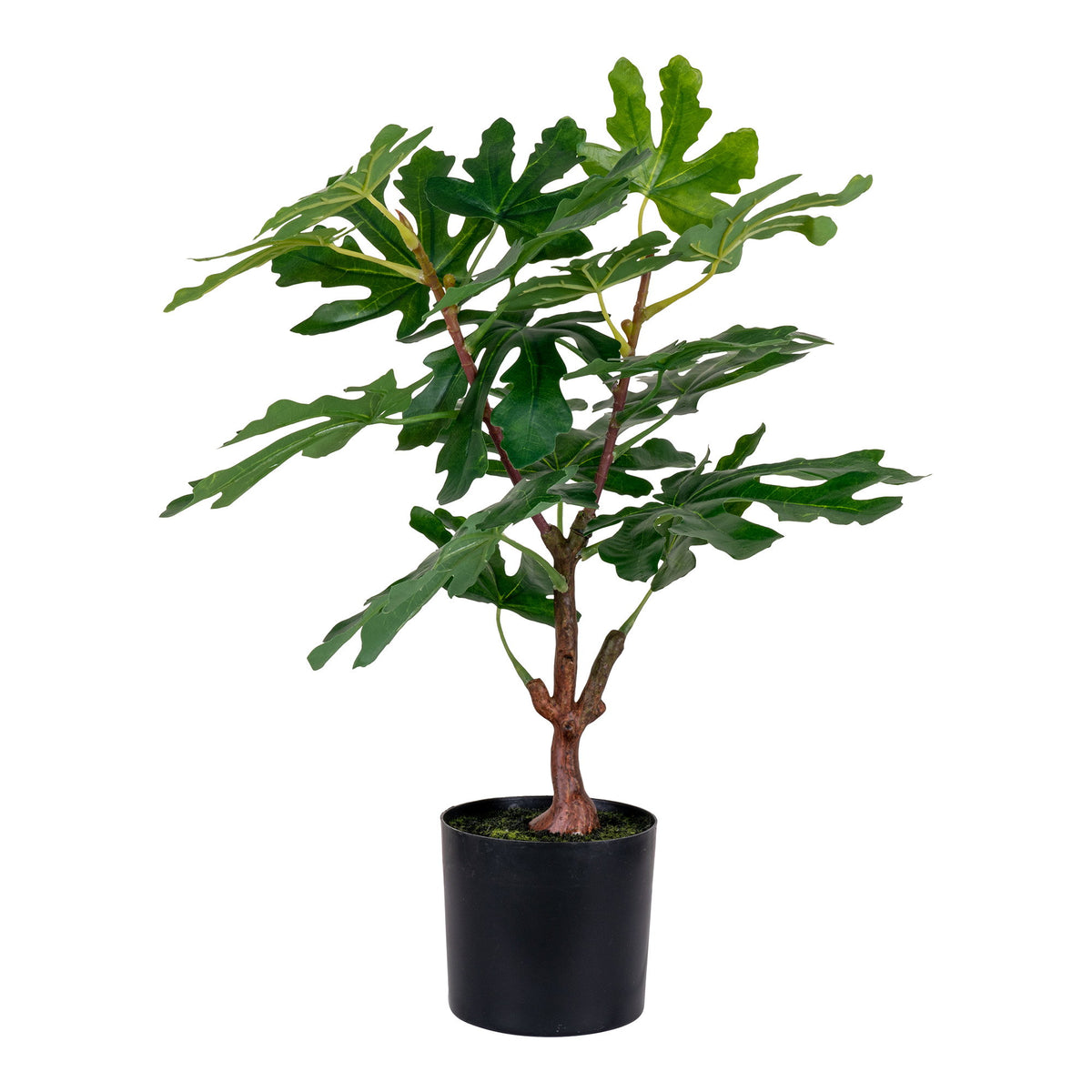 Kunstpflanze Feigenbaum – Grün, H 60 cm von Luiva Living