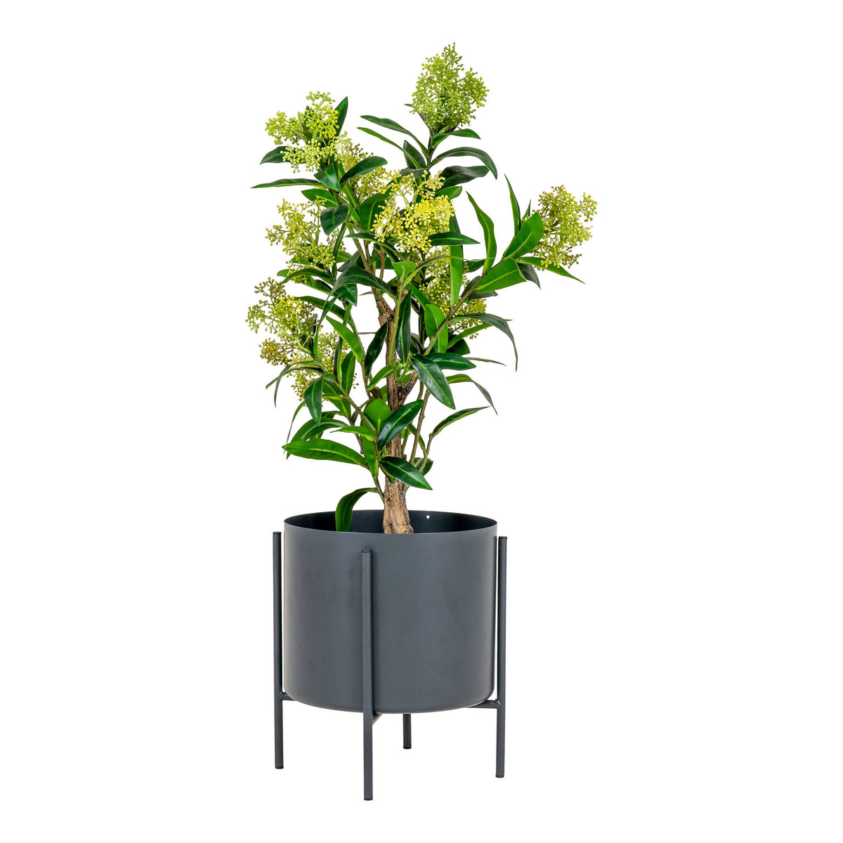 Kunstpflanze Skimmie – Grün, H 75 cm – Ansicht 2