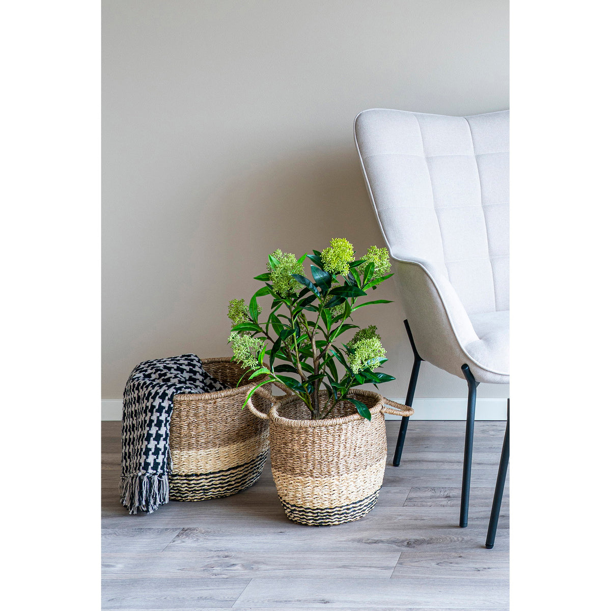 Kunstpflanze Skimmie – Grün, H 75 cm – Ansicht 7