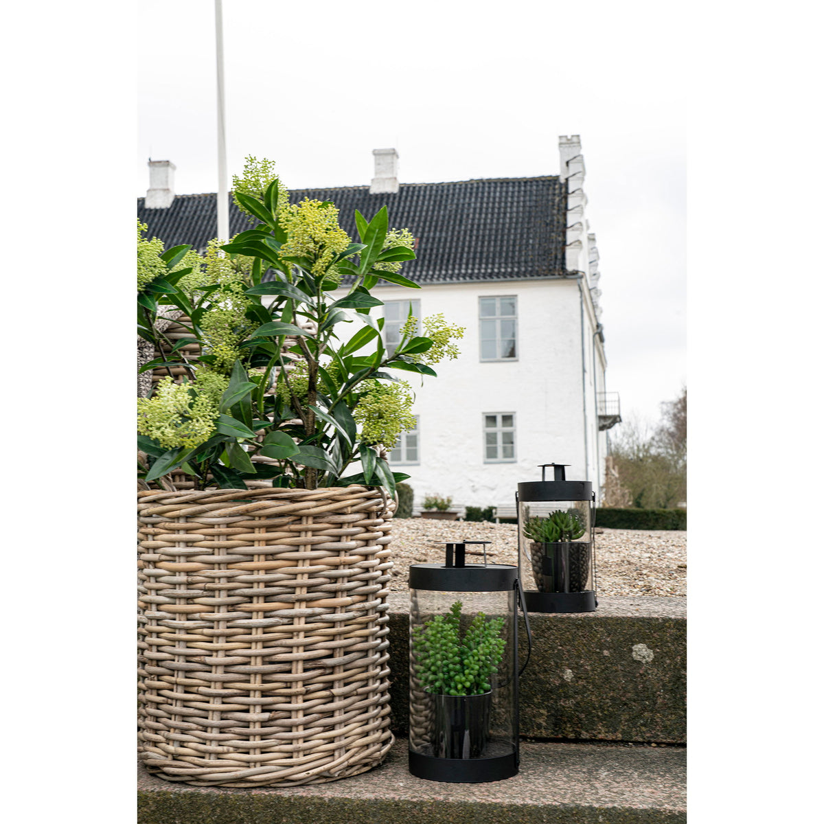 Kunstpflanze Skimmie – Grün, H 75 cm – Ansicht 8