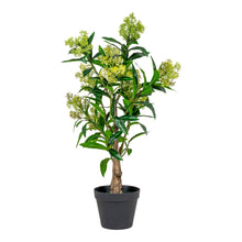 Kunstpflanze Skimmie – Grün, H 75 cm von Luiva Living