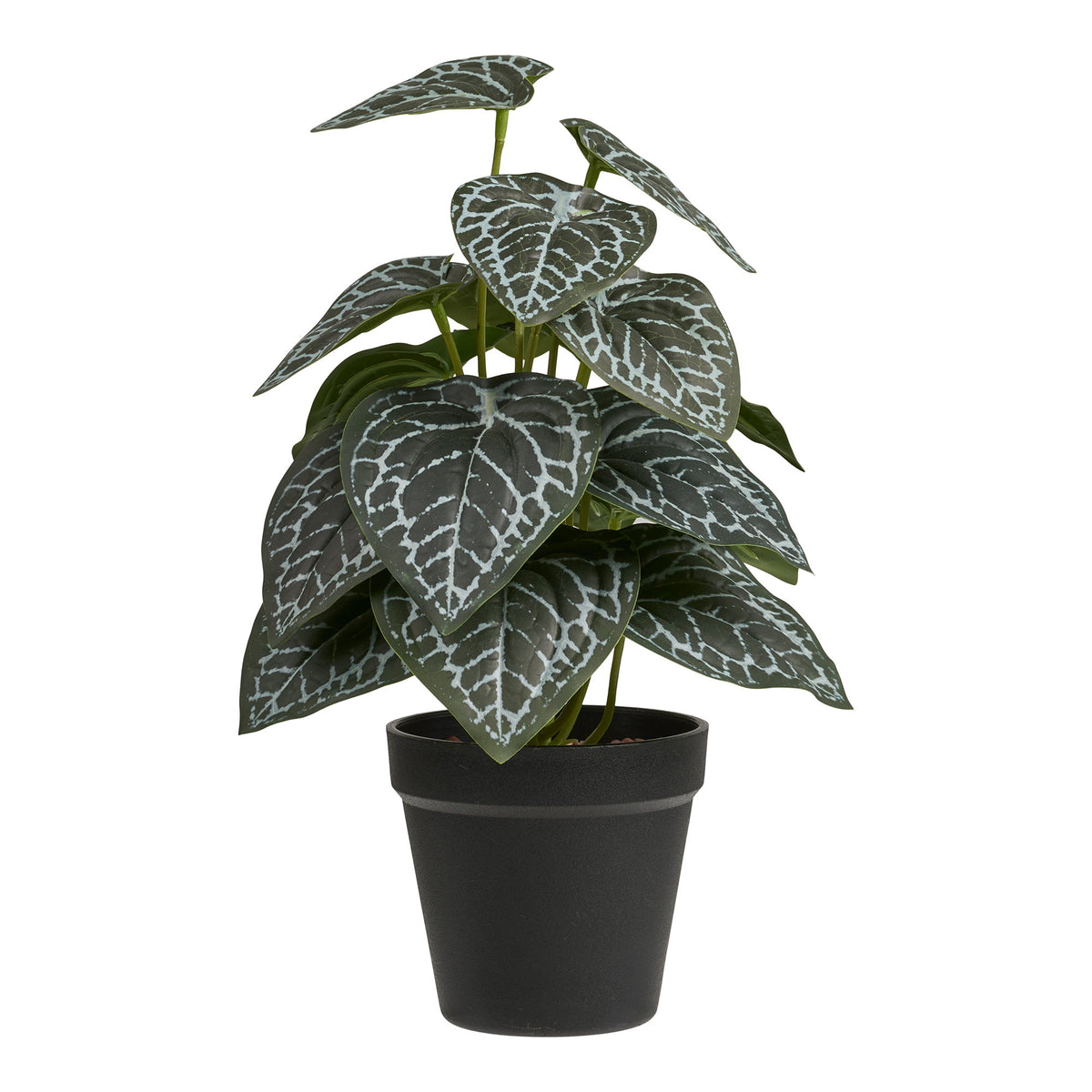 Kunstpflanze – Grün, H 33 cm von Luiva Living