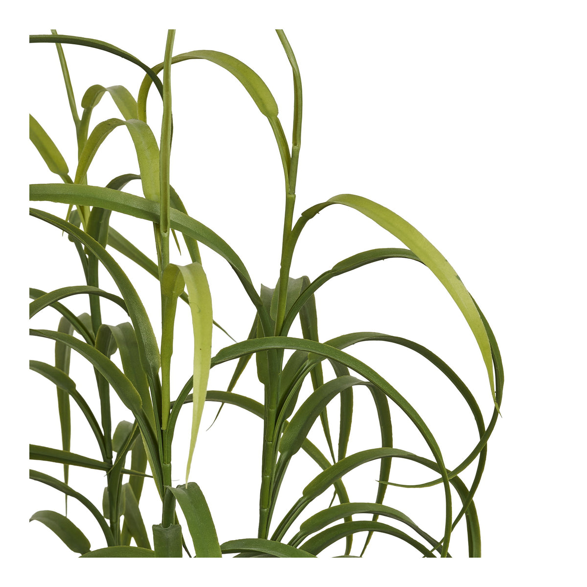 Kunstpflanze Gras – Grün, H 68 cm – Ansicht 2