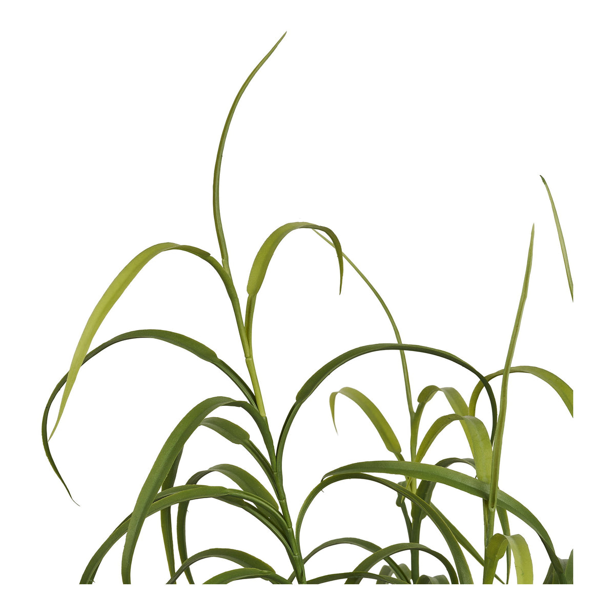 Kunstpflanze Gras – Grün, H 68 cm – Ansicht 3
