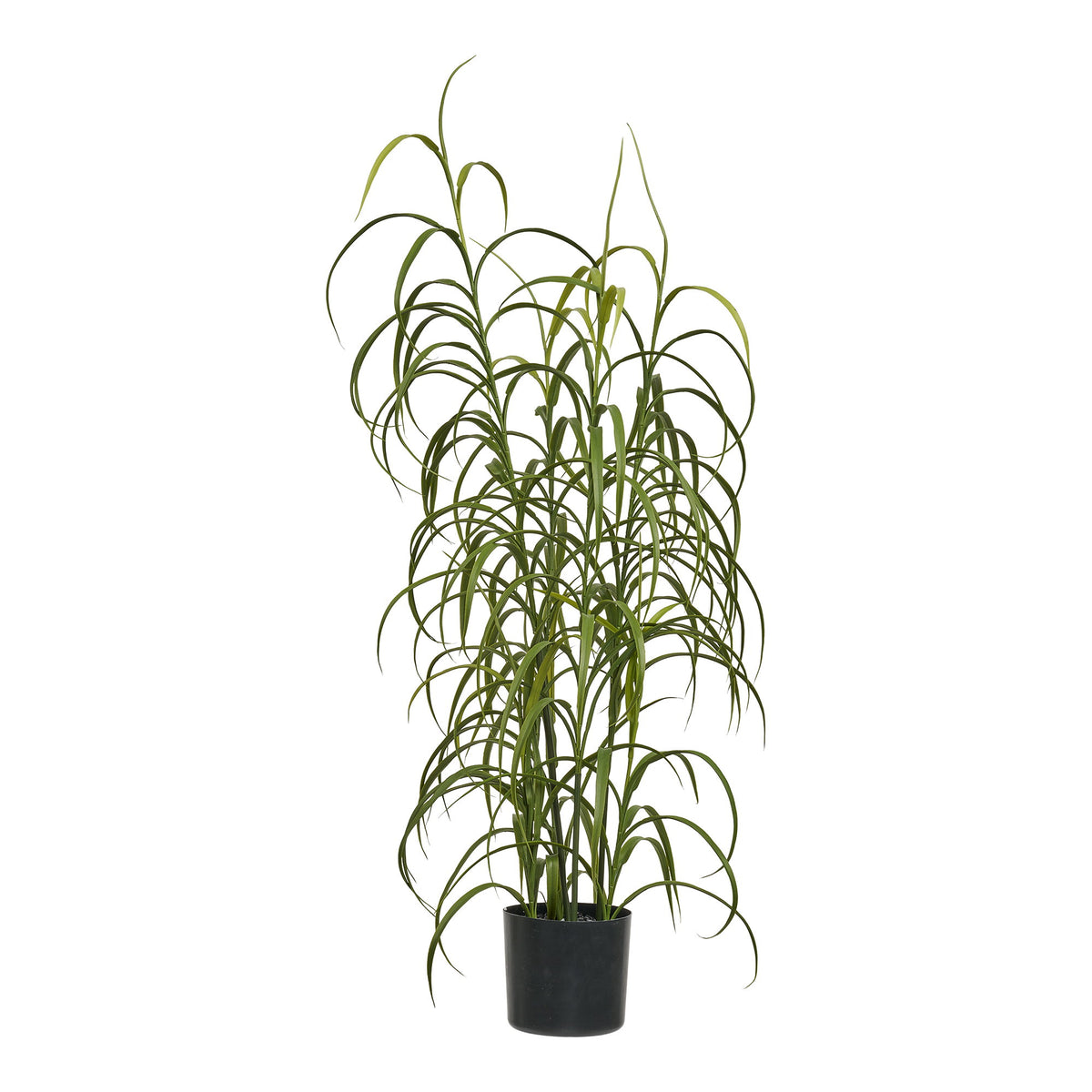 Kunstpflanze Gras – Grün, H 68 cm von Luiva Living