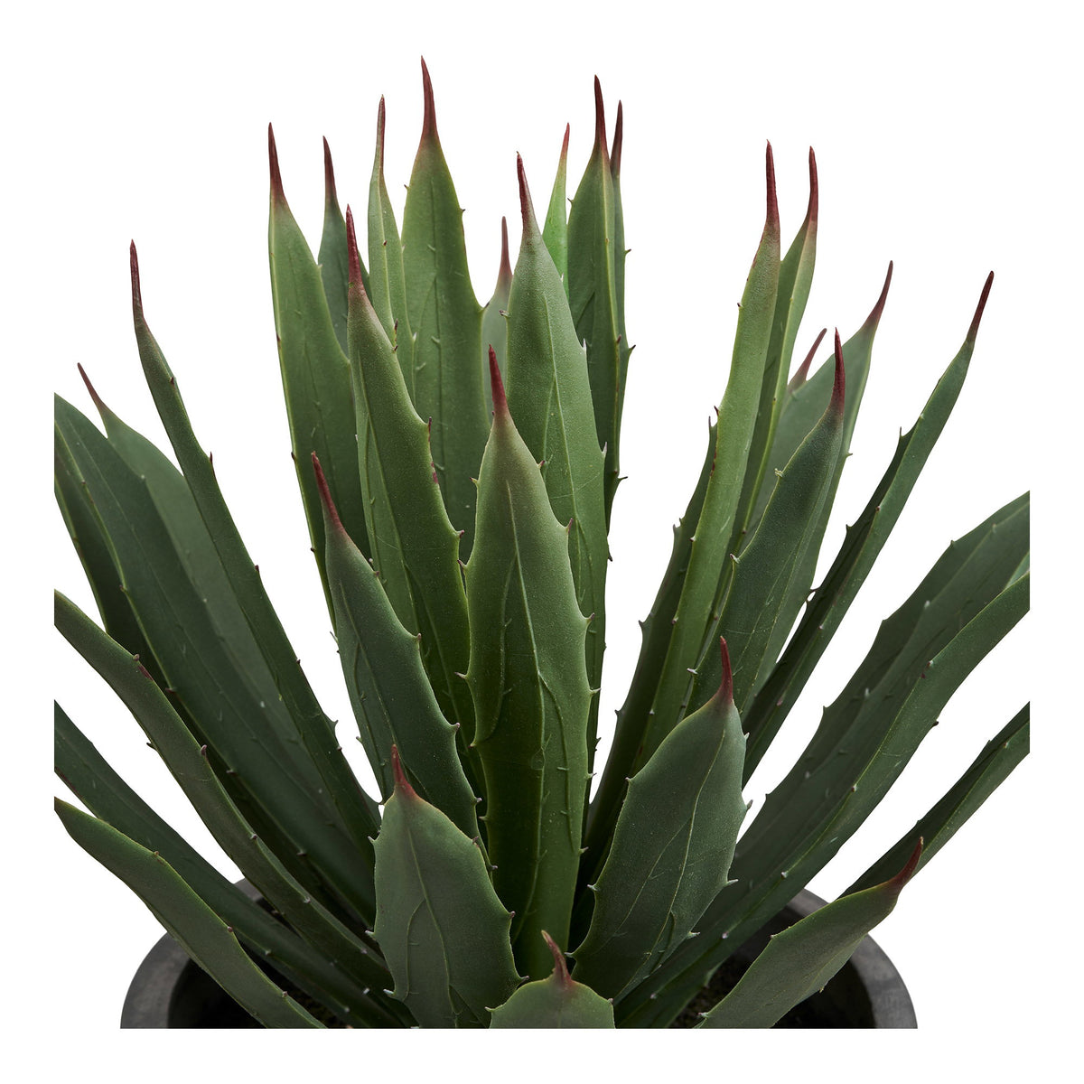 Kunstpflanze Agave mit Topf – Grün/Grau, H 41 cm – Ansicht 2