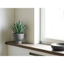 Kunstpflanze Agave mit Topf – Grün/Grau, H 41 cm – Ansicht 4