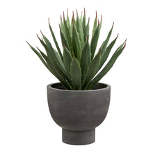 Kunstpflanze Agave mit Topf – Grün/Grau, H 41 cm von Luiva Living