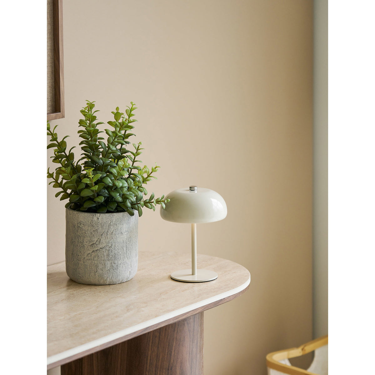 Kunstpflanze Sukkulente mit Topf – Grün/Grau, H 33 cm – Ansicht 5