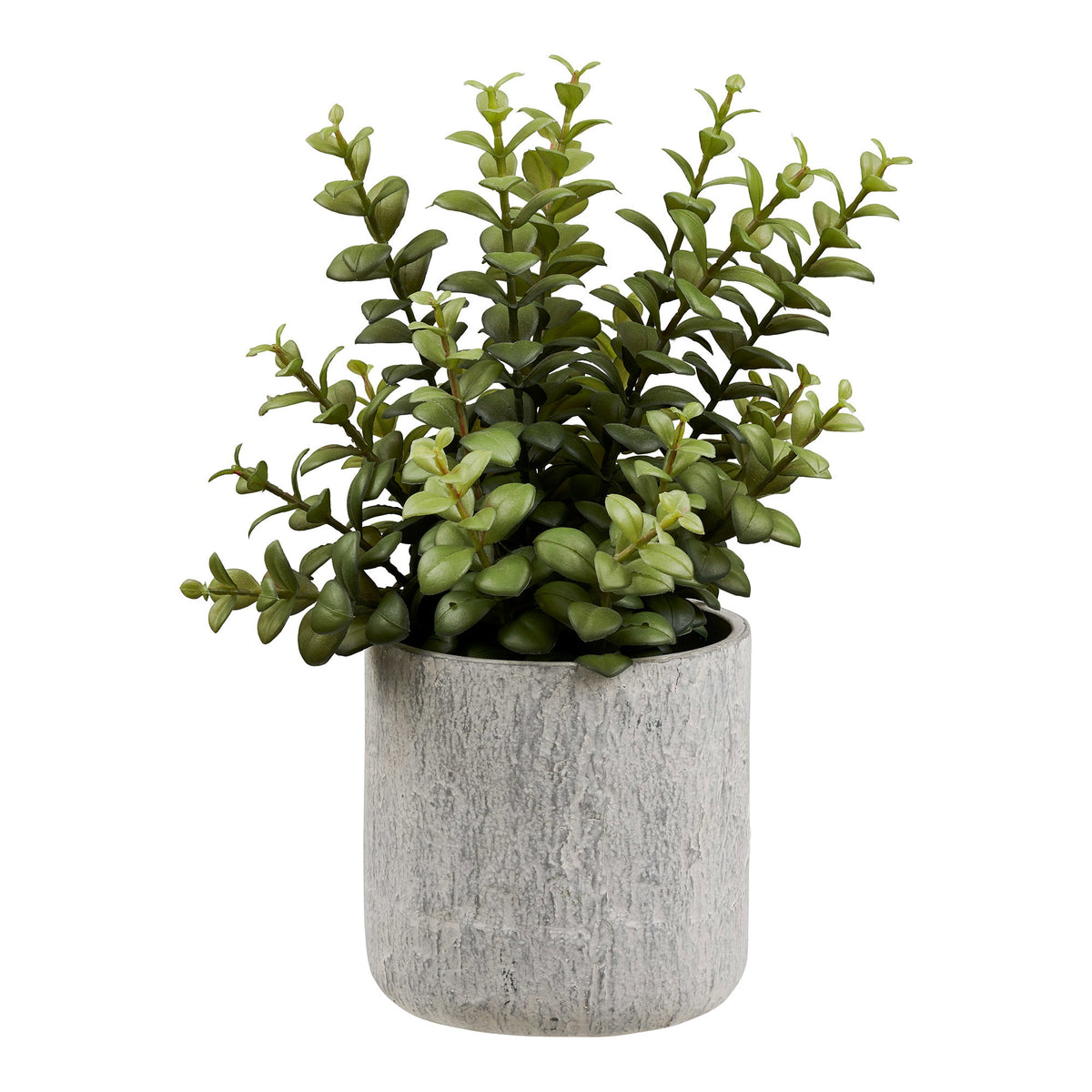 Kunstpflanze Sukkulente mit Topf – Grün/Grau, H 33 cm von Luiva Living