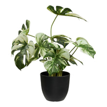 Kunstpflanze Monstera – Grün, H 43 cm von Luiva Living